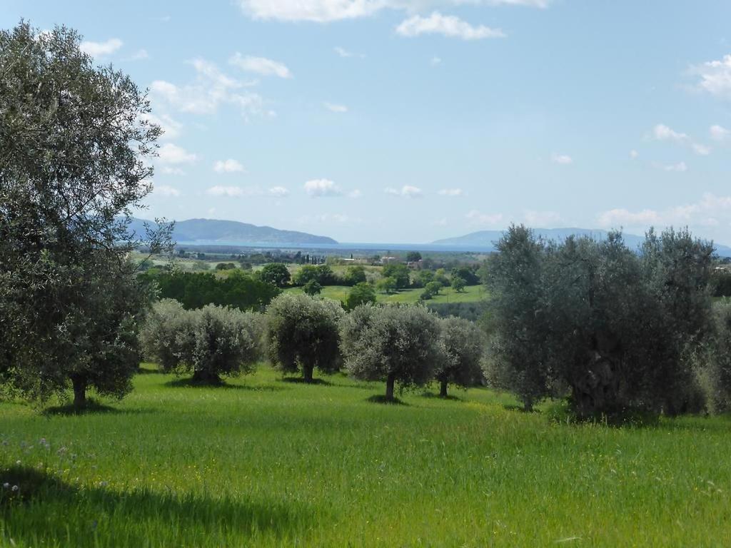 Tenuta Campospillo 马利亚诺因托斯卡纳 外观 照片
