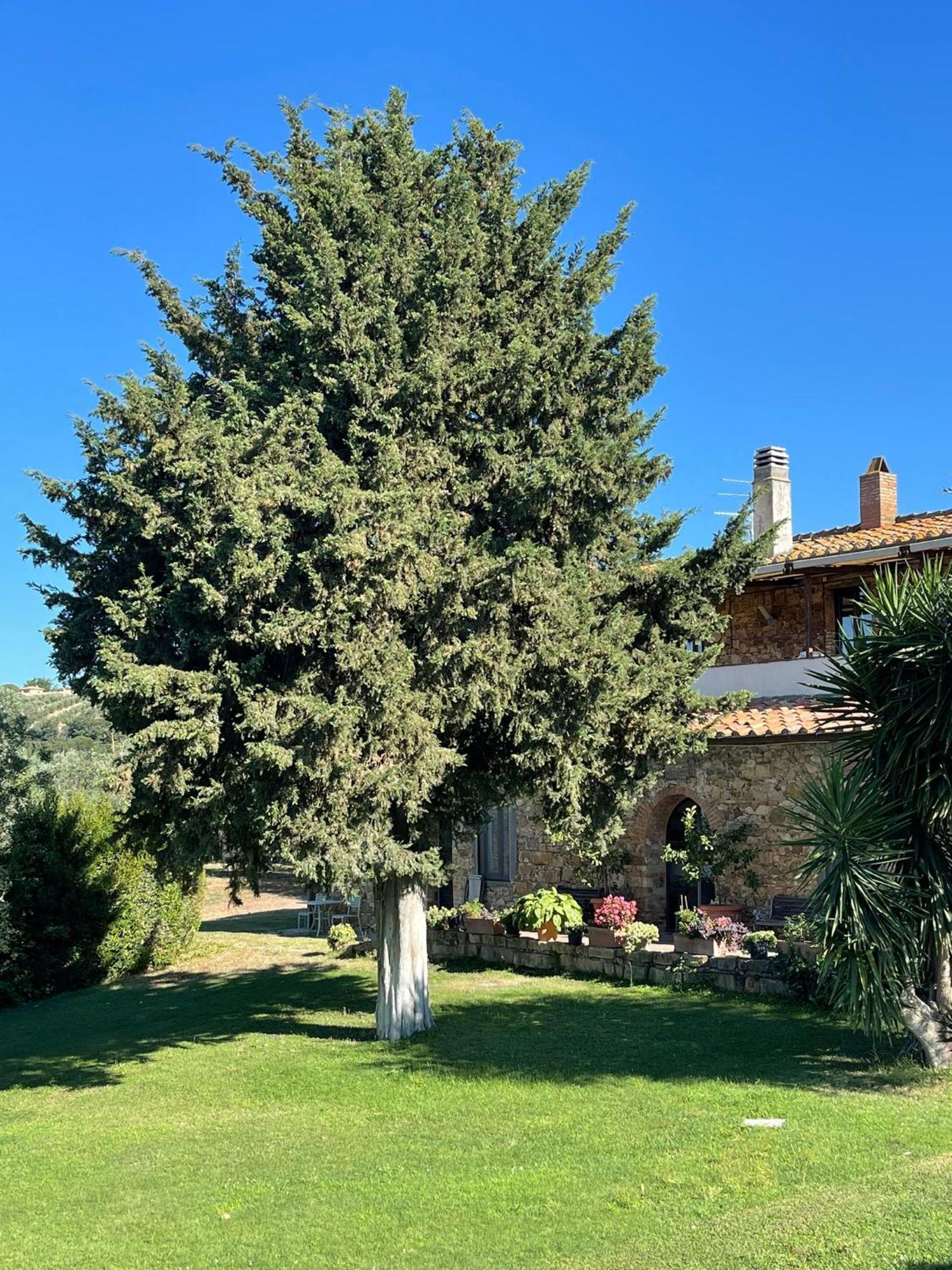 Tenuta Campospillo 马利亚诺因托斯卡纳 外观 照片